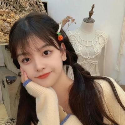 做一只鸟真不容易